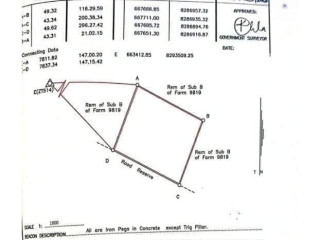 Plot For Sale In Palabana