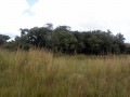 2-hectares-of-land-in-roan-park-chongwe-small-2