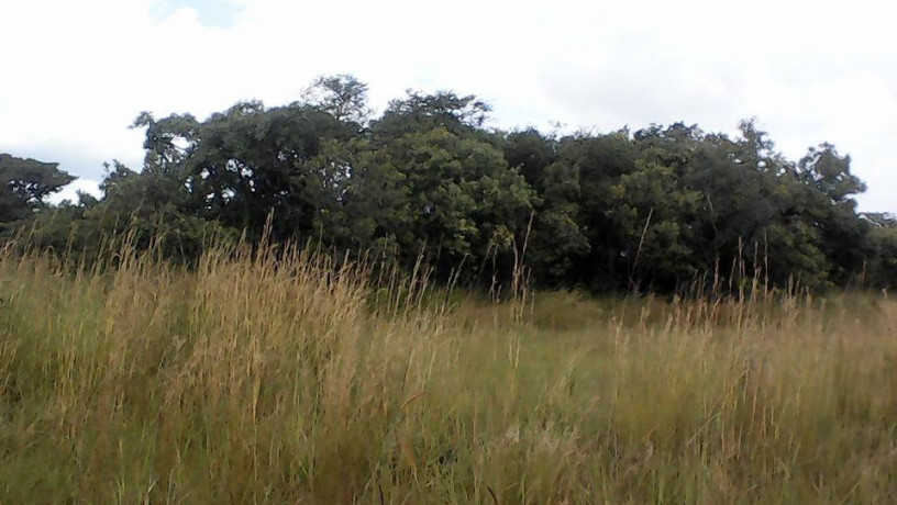 2-hectares-of-land-in-roan-park-chongwe-big-2