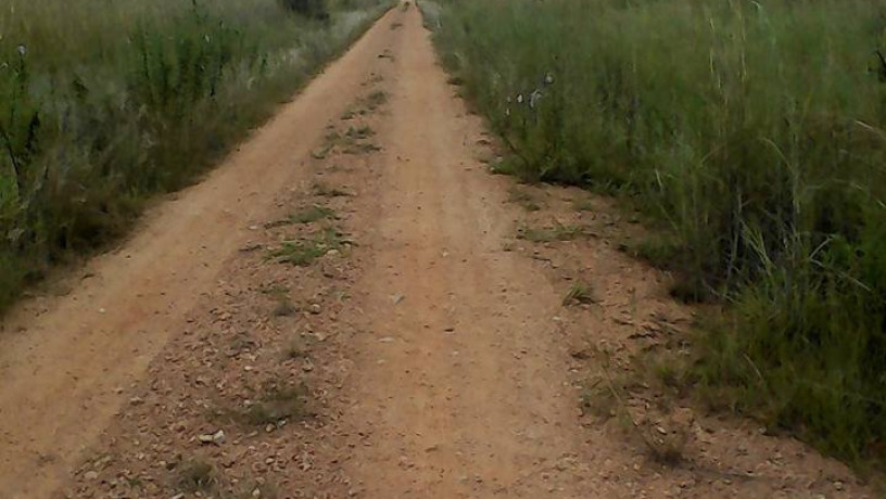 2-hectares-of-land-in-roan-park-chongwe-big-1