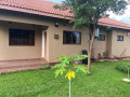 3-bedroom-apartment-for-rent-in-new-kasama-small-0