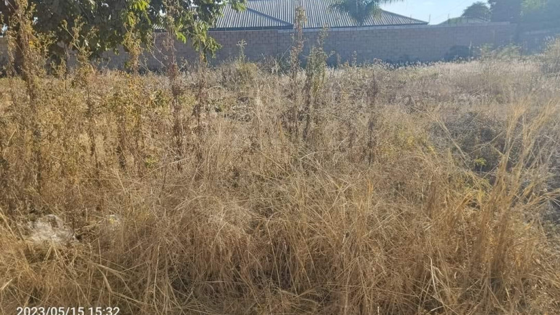 30m-by-40m-plot-for-sale-chalala-big-3