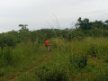 30m-by-40m-plots-for-sale-in-choma-small-0