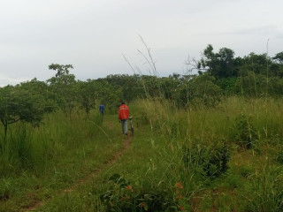 30m by 40m Plots For Sale in Choma