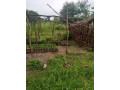 30m-by-40m-plots-for-sale-in-choma-small-7