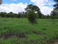 residential-plots-for-sale-in-waterfalls-small-1