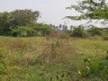 residential-plots-for-sale-in-waterfalls-small-2