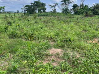 residential-plots-for-sale-in-waterfalls