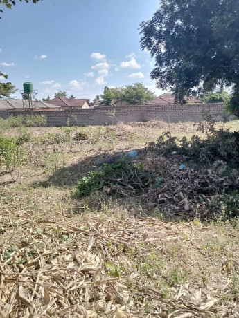 residential-plot-for-sale-in-ibex-hill-big-4