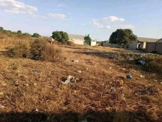 35m by 20m Plot For Sale In Lusaka South