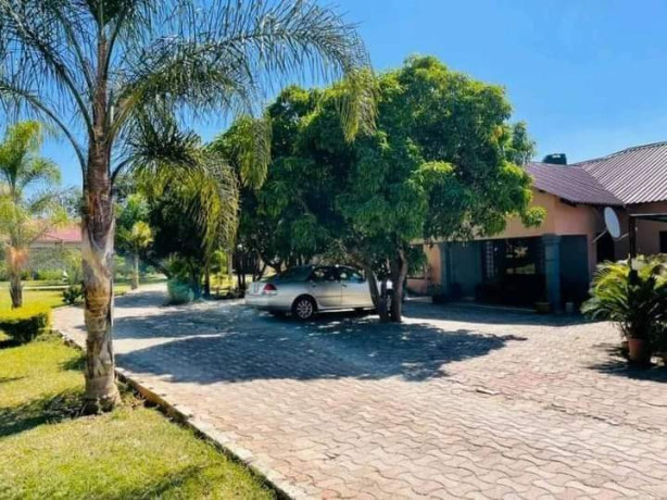 3-by-9-flats-for-sale-in-ibex-main-street-big-6