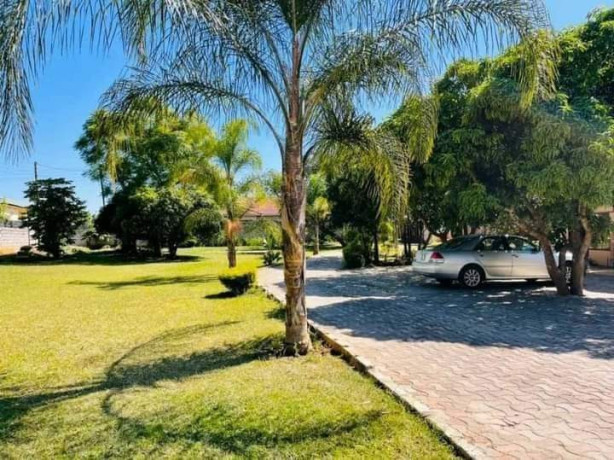 3-by-9-flats-for-sale-in-ibex-main-street-big-8