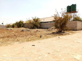 Residential Plot For Sale in Chalala