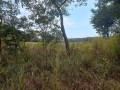 45-acre-farm-for-sale-in-sinoma-small-2