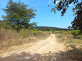 45-acre-farm-for-sale-in-sinoma-small-3