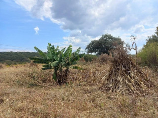 4.5 Acre Farm For Sale in Sinoma