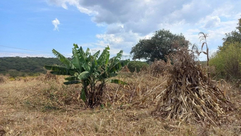 45-acre-farm-for-sale-in-sinoma-big-0