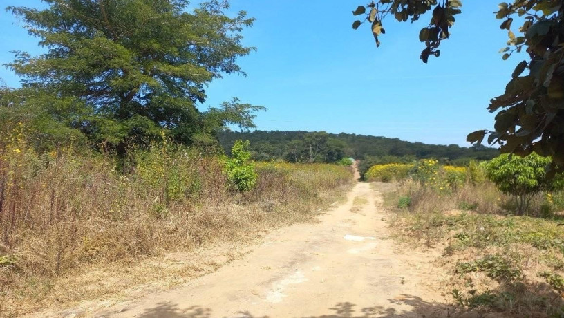 45-acre-farm-for-sale-in-sinoma-big-3