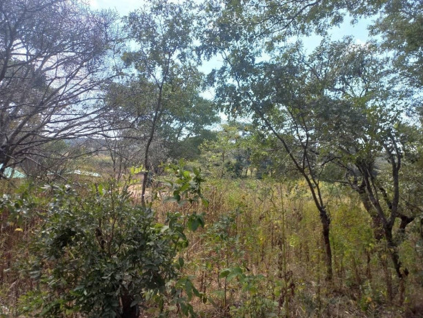 45-acre-farm-for-sale-in-sinoma-big-1