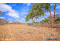 plots-for-sale-in-new-kasama-small-2