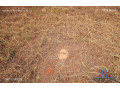 plots-for-sale-in-new-kasama-small-4