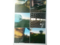 farmhouse-with-62-acres-of-land-and-chicken-runs-near-zamseed-small-4