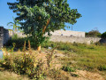 prime-plot-of-land-for-sale-in-main-ibex-small-5