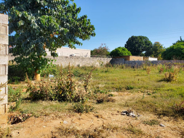 prime-plot-of-land-for-sale-in-main-ibex-big-0