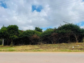 1 Acre Plot For Sale In Ibex Hill 3rd Street