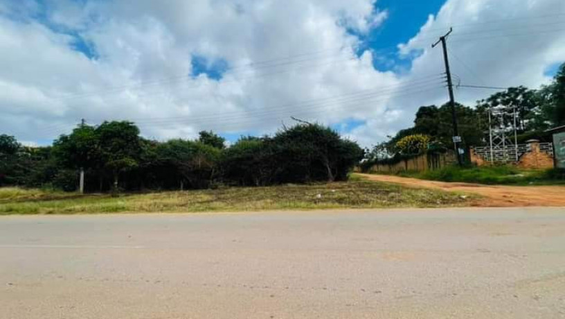 1-acre-plot-for-sale-in-ibex-hill-3rd-street-big-2