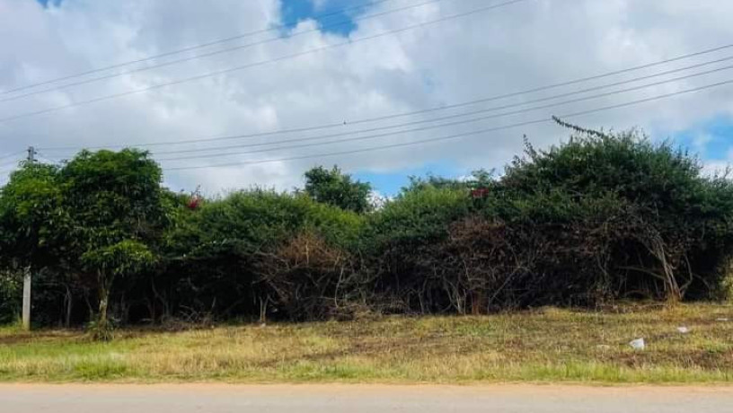 1-acre-plot-for-sale-in-ibex-hill-3rd-street-big-0