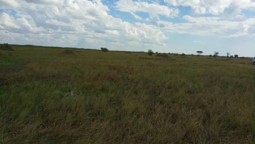 20-hectares-of-land-for-sale-in-kafue-big-2