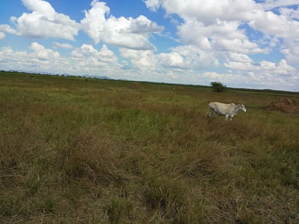 20-hectares-of-land-for-sale-in-kafue-big-4