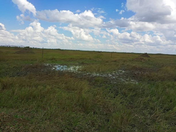 20-hectares-of-land-for-sale-in-kafue-big-0