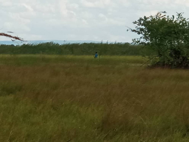 20-hectares-of-land-for-sale-in-kafue-big-3