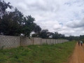 5-acre-plot-for-sale-in-meanwood-nkoshi-small-4