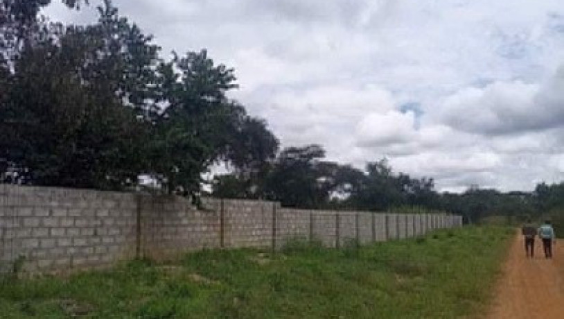 5-acre-plot-for-sale-in-meanwood-nkoshi-big-4