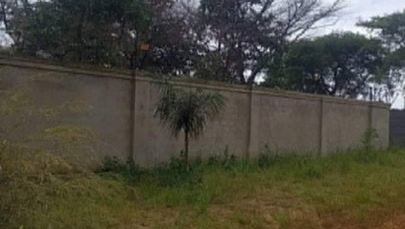 5-acre-plot-for-sale-in-meanwood-nkoshi-big-1