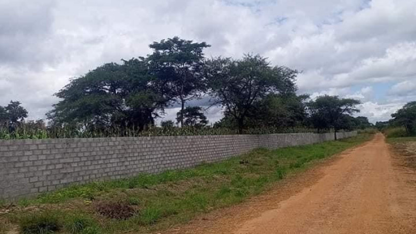 5-acre-plot-for-sale-in-meanwood-nkoshi-big-2