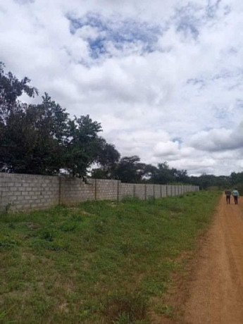 5-acre-plot-for-sale-in-meanwood-nkoshi-big-4