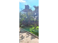 4-bedroom-house-for-sale-in-chalala-small-1