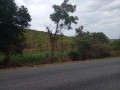 13-acres-land-for-sale-in-rufunsa-small-1