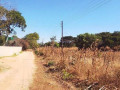 70-by-70-plot-for-sale-in-new-kasama-small-2