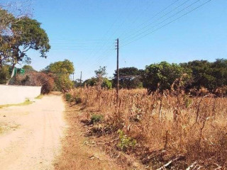 70 by 70 Plot For Sale in New Kasama