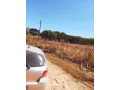 70-by-70-plot-for-sale-in-new-kasama-small-7