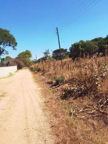 70-by-70-plot-for-sale-in-new-kasama-big-6