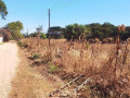 30-by-40-plot-for-sale-in-new-kasama-small-7