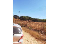 30-by-40-plot-for-sale-in-new-kasama-small-5