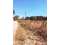 30-by-40-plot-for-sale-in-new-kasama-small-7