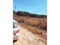 30-by-40-plot-for-sale-in-new-kasama-small-8